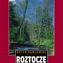 Artur Pawłowski