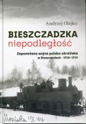 Bieszczadzka niepodległość. Zapomniana wojna polsko-ukraińska w Bieszczadach 1918-1919
